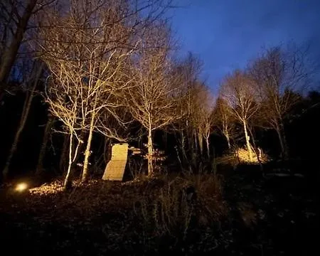 Alpstuga Deep Forest