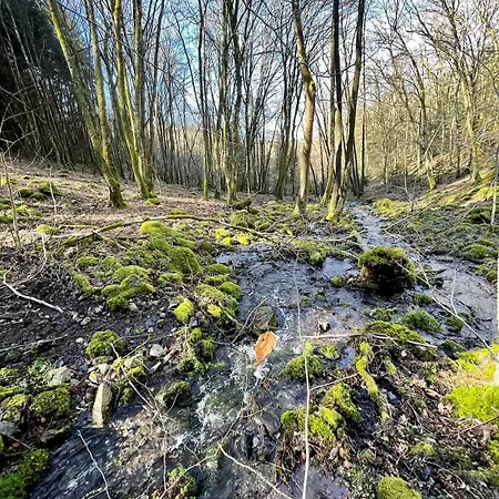Alpstuga Deep Forest *
